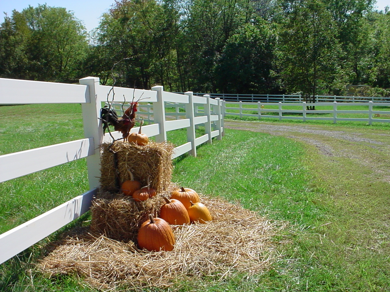 Country Estate Fence